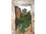 Terreno Urbano - Pech�o, Olh�o, Faro (Algarve) - Miniatura: 3/9