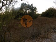 Terreno R�stico - S�o Bartolomeu de Messines, Silves, Faro (Algarve) - Miniatura: 2/2