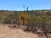 Terreno R�stico - Azinhal, Castro Marim, Faro (Algarve) - Miniatura: 2/9