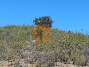 Terreno R�stico - Azinhal, Castro Marim, Faro (Algarve) - Miniatura: 3/9