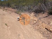 Terreno R�stico - Azinhal, Castro Marim, Faro (Algarve) - Miniatura: 4/9