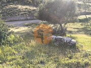 Terreno Rstico - Odeleite, Castro Marim, Faro (Algarve) - Miniatura: 9/9