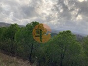 Terreno R�stico - Azinhal, Castro Marim, Faro (Algarve) - Miniatura: 4/9