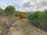 Terreno R�stico - Azinhal, Castro Marim, Faro (Algarve) - Miniatura: 6/9