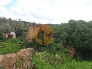 Ruina - Santa Catarina da Fonte do Bispo, Tavira, Faro (Algarve) - Miniatura: 3/9