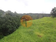 Ruina - Santa Catarina da Fonte do Bispo, Tavira, Faro (Algarve) - Miniatura: 5/9