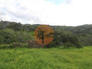 Ruina - Santa Catarina da Fonte do Bispo, Tavira, Faro (Algarve) - Miniatura: 6/9