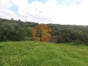 Ruina - Santa Catarina da Fonte do Bispo, Tavira, Faro (Algarve) - Miniatura: 7/9