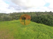 Ruina - Santa Catarina da Fonte do Bispo, Tavira, Faro (Algarve) - Miniatura: 9/9