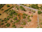 Terreno R�stico - Santa Catarina da Fonte do Bispo, Tavira, Faro (Algarve) - Miniatura: 1/6