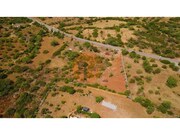 Terreno R�stico - Santa Catarina da Fonte do Bispo, Tavira, Faro (Algarve) - Miniatura: 5/6