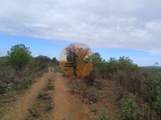 Terreno Rstico - Alcoutim, Alcoutim, Faro (Algarve) - Miniatura: 4/9