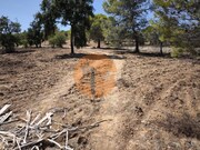 Terreno R�stico - Castro Marim, Castro Marim, Faro (Algarve) - Miniatura: 3/9