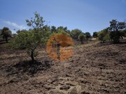 Terreno R�stico - Castro Marim, Castro Marim, Faro (Algarve) - Miniatura: 5/9