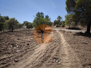 Terreno R�stico - Castro Marim, Castro Marim, Faro (Algarve) - Miniatura: 7/9