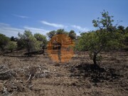 Terreno R�stico - Castro Marim, Castro Marim, Faro (Algarve) - Miniatura: 8/9