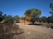 Terreno R�stico - Castro Marim, Castro Marim, Faro (Algarve) - Miniatura: 9/9
