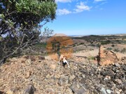 Terreno R�stico - Castro Marim, Castro Marim, Faro (Algarve) - Miniatura: 2/9