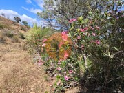 Terreno R�stico - Castro Marim, Castro Marim, Faro (Algarve) - Miniatura: 4/9