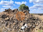Terreno R�stico - Castro Marim, Castro Marim, Faro (Algarve) - Miniatura: 8/9