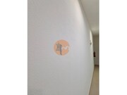 Loja - Monte Gordo, Vila Real de Santo Ant�nio, Faro (Algarve) - Miniatura: 4/6