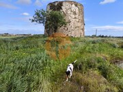 Outros - Azinhal, Castro Marim, Faro (Algarve) - Miniatura: 4/9