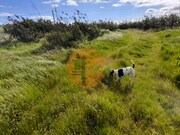 Outros - Azinhal, Castro Marim, Faro (Algarve) - Miniatura: 8/9