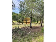 Terreno R�stico - Odeleite, Castro Marim, Faro (Algarve) - Miniatura: 6/9