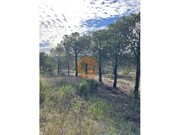 Terreno R�stico - Odeleite, Castro Marim, Faro (Algarve) - Miniatura: 7/9