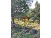 Terreno R�stico - Odeleite, Castro Marim, Faro (Algarve) - Miniatura: 8/9
