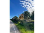 Terreno R�stico - Odeleite, Castro Marim, Faro (Algarve) - Miniatura: 9/9