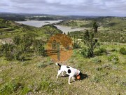 Terreno R�stico - Azinhal, Castro Marim, Faro (Algarve) - Miniatura: 7/9