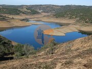 Terreno R�stico - Azinhal, Castro Marim, Faro (Algarve) - Miniatura: 2/9