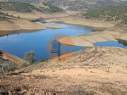 Terreno R�stico - Azinhal, Castro Marim, Faro (Algarve) - Miniatura: 4/9
