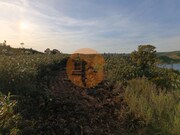 Terreno R�stico - Azinhal, Castro Marim, Faro (Algarve) - Miniatura: 9/9