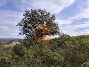 Terreno R�stico - Odeleite, Castro Marim, Faro (Algarve) - Miniatura: 2/9
