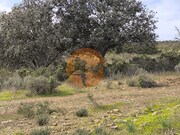 Terreno R�stico - Odeleite, Castro Marim, Faro (Algarve) - Miniatura: 3/9