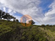Terreno R�stico - Odeleite, Castro Marim, Faro (Algarve) - Miniatura: 5/9