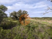 Terreno R�stico - Odeleite, Castro Marim, Faro (Algarve) - Miniatura: 7/9