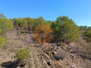Terreno R�stico - Vaqueiros, Alcoutim, Faro (Algarve) - Miniatura: 9/9