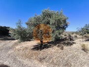 Terreno R�stico - Azinhal, Castro Marim, Faro (Algarve) - Miniatura: 3/9