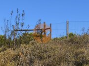 Terreno R�stico - Azinhal, Castro Marim, Faro (Algarve) - Miniatura: 4/9