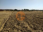 Terreno R�stico - Martim Longo, Alcoutim, Faro (Algarve) - Miniatura: 2/9
