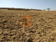 Terreno R�stico - Martim Longo, Alcoutim, Faro (Algarve) - Miniatura: 3/9