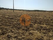 Terreno R�stico - Martim Longo, Alcoutim, Faro (Algarve) - Miniatura: 4/9