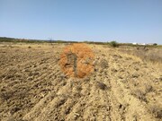 Terreno R�stico - Martim Longo, Alcoutim, Faro (Algarve) - Miniatura: 5/9