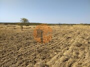 Terreno R�stico - Martim Longo, Alcoutim, Faro (Algarve) - Miniatura: 6/9