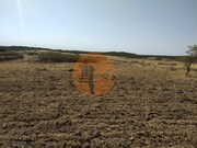 Terreno R�stico - Martim Longo, Alcoutim, Faro (Algarve) - Miniatura: 7/9