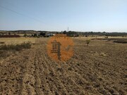 Terreno R�stico - Martim Longo, Alcoutim, Faro (Algarve) - Miniatura: 8/9