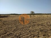 Terreno R�stico - Martim Longo, Alcoutim, Faro (Algarve) - Miniatura: 9/9